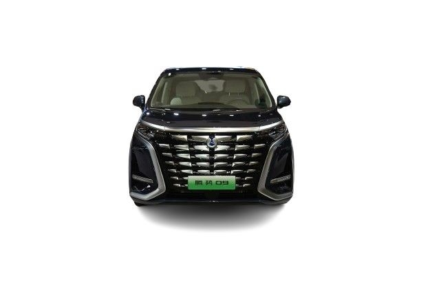 تينغشي-دي9 بيد دينزا دي9 ديم-آي 4WD سيارة MPV رائدة سريعة فيف سيارة كهربائية
