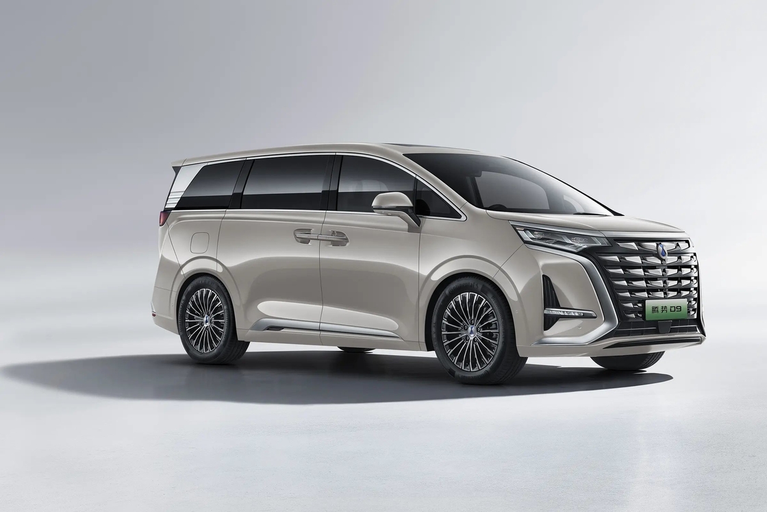 تينغشي-دي9 بيد دينزا دي9 ديم-آي 4WD سيارة MPV رائدة سريعة فيف سيارة كهربائية