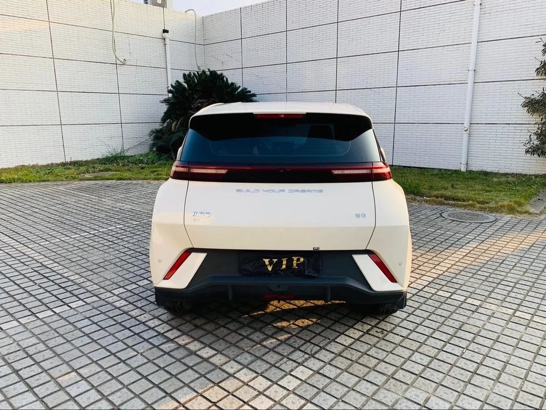 Byd Seagull 2024 Honor Edition 305km إصدار مجاني سيارة كهربائية مركبات طاقة جديدة